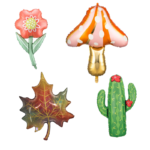 Plantes